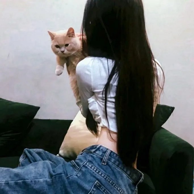 阴齿